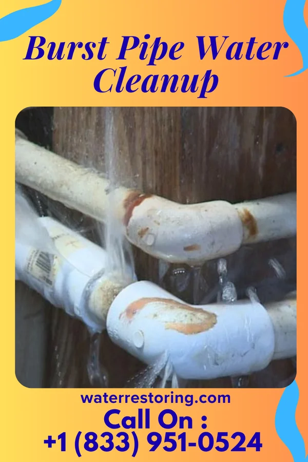 Burst Pipe Water Cleanup in Stanley, VA