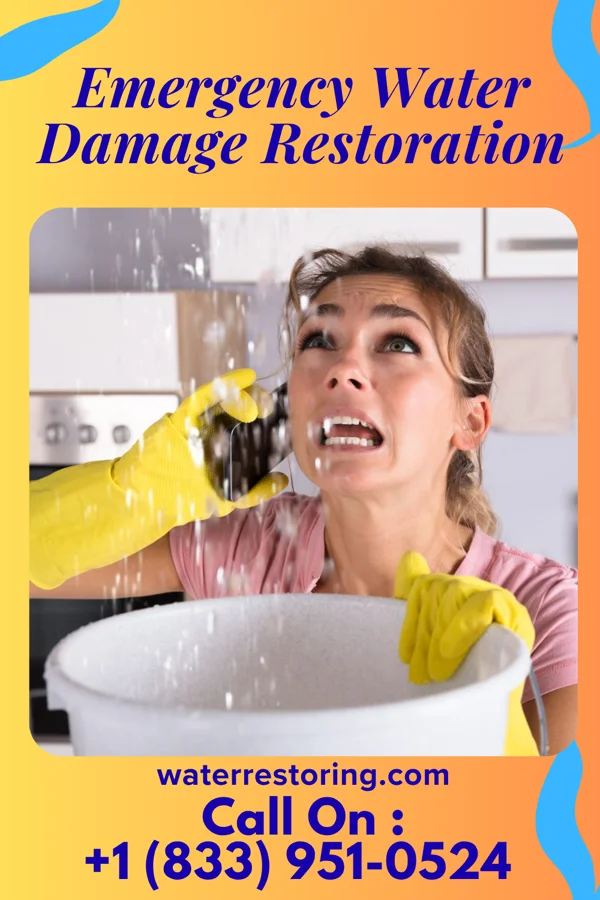 Emergency Water Damage Restoration in Stanley, VA