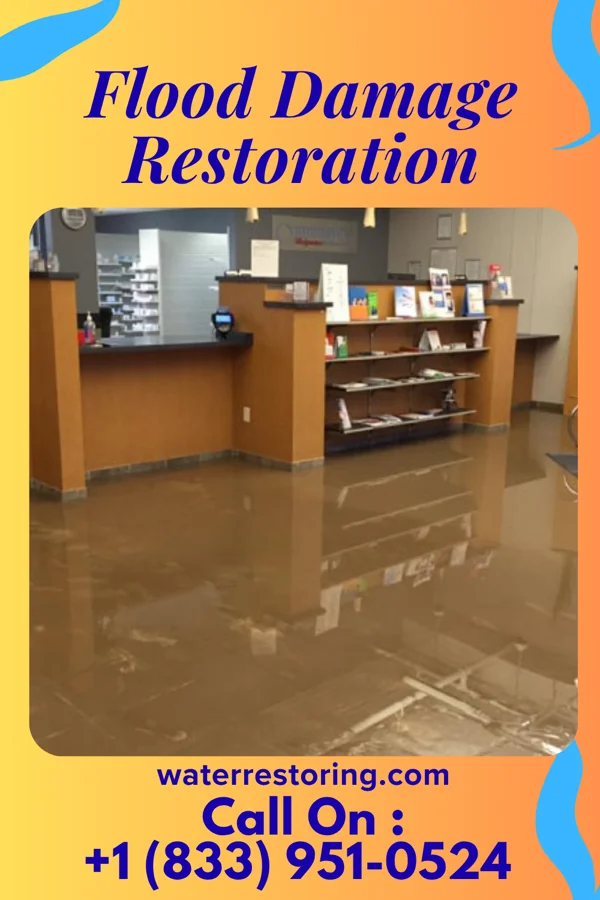 Flood Damage Restoration in Stanley, VA