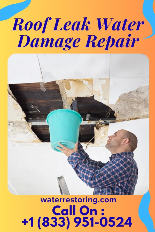 Roof Leak Water Damage Repair in Stanley, VA