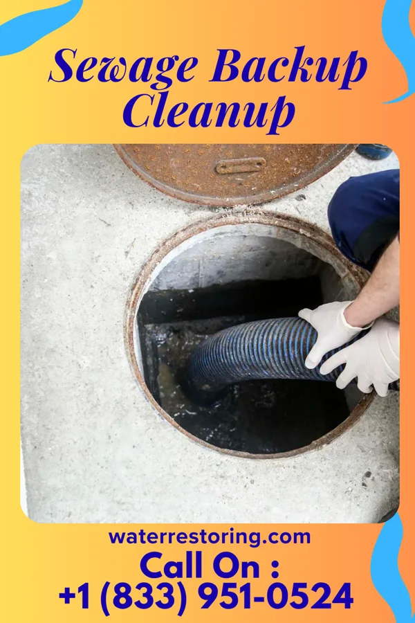 Sewage Backup Cleanup in Stanley, VA